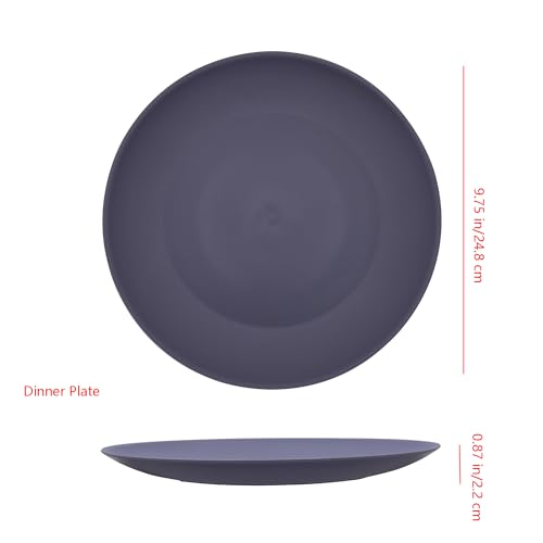 AOYITE Plastic Dinner Plates Reusable, Unbreakable Salad Plates set of 12, BPA Free Microwave & Dishwasher Safe Party Plate for Any Occasion, BBQ, Travel, Events - color: Neutral Tones