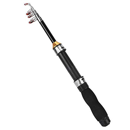 Fishing Rod, Universal Mini Small Sea Pole Portable Short Pole Ice Fishing Rod Mini Pocket Sea Fishing Tools for Ice Fly Fishing Sea Saltwater Kit Gift for Festivals - size: 1.7m
