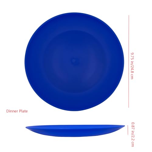 AOYITE Plastic Plates Reusable 10 inch, Unbreakable Dinner Plates set of 12, BPA Free Microwave & Dishwasher Safe Party Plate for Any Occasion, BBQ, Travel, Events (Coastal) - color: Cool Blue Gradient