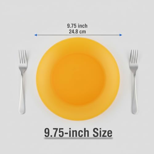 AOYITE Everyday Plastic Plates Reusable - Unbreakable 10 inch Dinner Plates set of 12 - BPA Free Dishwasher Safe & Microwave Kids Colorful Plate for Kitchen Party Camping Outdoor - color: Autumn Tones