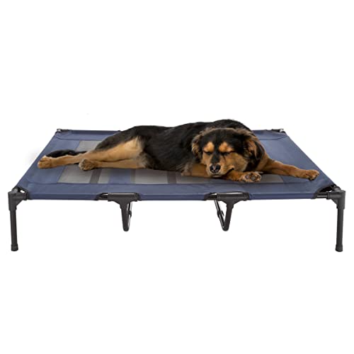 Elevated Dog Bed - 48x35.5-Inch Portable Pet Bed with Non-Slip Feet - Indoor/Outdoor Dog Cot or Puppy Bed for Pets up to 110lbs by PETMAKER (Blue) - color: Blue, size: X-Large
