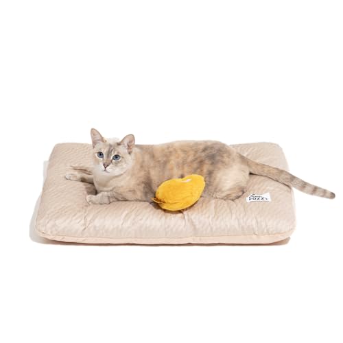 FUNNY FUZZY 2 in 1 Dog Bed Crate Pad Mat, Washable Reversible Pet Floor Mats,Fluffy Kennel Pad for Small Large Sized Dog,Indoor Cats,Sleeping Mattress, 23.6" × 17.9", Beige - color: Beige, size: 24"×18" Small