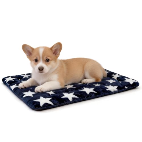 Washable Dog Bed Mat With Anti-Slip Bottom, Deluxe Plush Memory Foam Crate Pad & Waterproof Outdoor Kennel Mat For Dogs & Cats-Durable Crates Beds, Large Medium Small Puppy Size 24" x 18",Blue - color: Blue-Star, size: Upgraded S（24" L x 18" W x 1.5" Th）