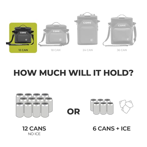 CORE Magnetic Leak Proof Soft Cooler with Waterproof Zipper | Insulated Bag Portable Ice Chest Box | Best Soft Cooler for Food & Beverages for Tailgating, Car Camping, Travel, and Family Beach Picnics - color: Charcoal, size: 12 Can
