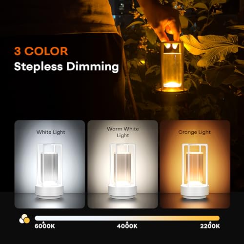 Portable Metal Table Lamp for Indoor/Outdoor ,Rechargeable Cordless LED Lamp, 3-Colour Infinitely Dimming Battery Powered Small Desk Lamp, Restaurant/Bedroom/Bar/Coffee/Camping Light (White Set of 2) - color: White Set of 2