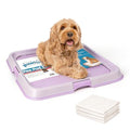 Pawise Dog Pee Pad Holder for Puppy, Puppy Pad Holder Tray, Pet Training Pee Pad, Indoor Potty Tray for Senior Dogs, Dog Toilet for Newborn Puppies, 23.5" x 23.5"，Purple - size: Small-Purple