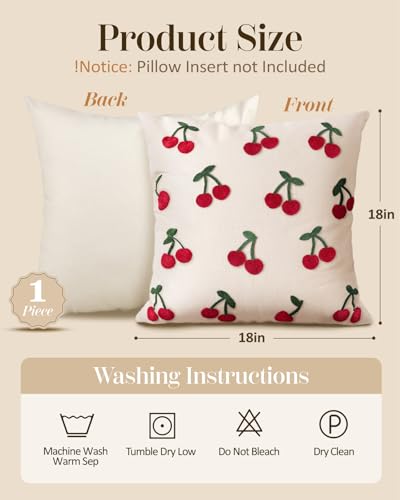 Embroidered Throw Pillow Cover 18x18 Inch - Spring Summer Boho Decorative Pillow Cover with Zipper for Living Room Couch Sofa Bed Aesthetic Design Little Cherry Cushion Pillowcase - color: Little Cherry, size: 18" x 18" (Pack of 1)