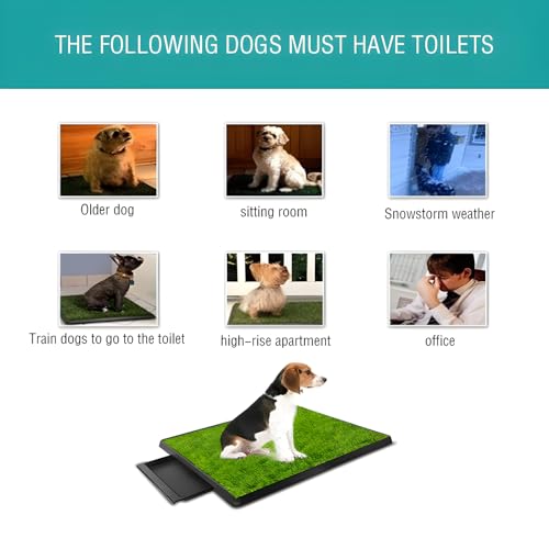Dog Urinal containing 2 Replaceable lawns, Dog Potty Grass .Portable pet bedpans that can be Washed， Suitable for Almost All Types of Dogs. Length: 25 inches. Width 20 inches. Height: 3 inches
