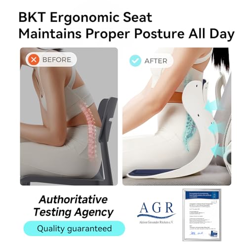 BKT Seat Cushion Chair Ergonomic Office Chair Cushions Lumbar Support for Seat Pillow Ideal for Students Office Workers Nursing Mothers Long Sitting Outdoor Fishing Floor - color: Xl-prussian Blue