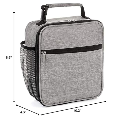 Insulated Lunch Bag, Leakproof Portable Lunch Box for Women Men Boys Girls, Large Capacity Cooler Bag with Handle and Bottle Pocket for Office School Camping Hiking Outdoor Beach Picnic (Grey) - color: Gray
