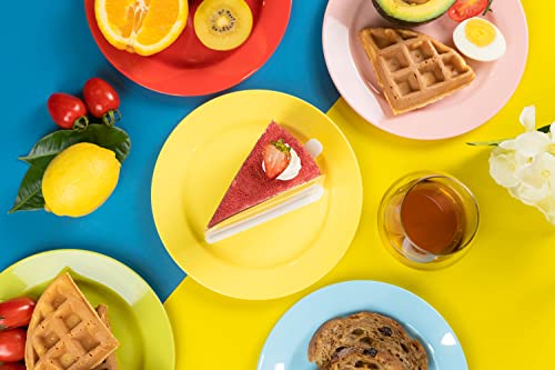 POSATE 60PCS Colorful Disposable Plastic Plates, Heavy Duty Plates for Wedding/Party, 30PCS Dinner Plates 10.25’’ and 30PCS Dessert/Salad Plates 7.5’’, Colorful Plates for Party Event - color: Colorful