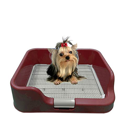PS KOREA] Indoor Dog Potty Tray - with Protection Wall Every Side for No Leak, Spill, Accident - Keep Paws Dry and Floors Clean (Wine) - color: Wine