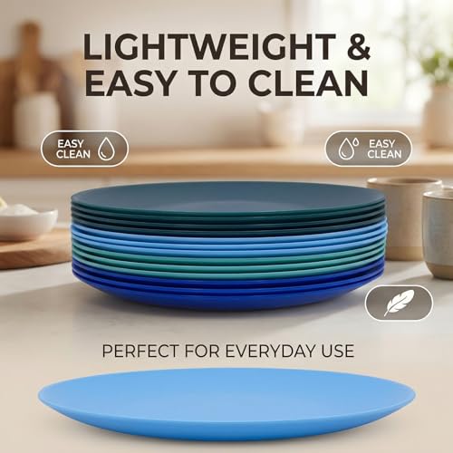AOYITE Plastic Plates Reusable 10 inch, Unbreakable Dinner Plates set of 12, BPA Free Microwave & Dishwasher Safe Party Plate for Any Occasion, BBQ, Travel, Events (Coastal) - color: Cool Blue Gradient