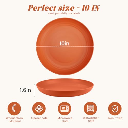 Homienly Deep Plate Set 6 PCS Reusable Dinner Plates Alternative for Plastic Plate Microwave and Dishwasher Safe Wheat Straw Plates for Kitchen Unbreakable 10 Inch Salad Plates for Outdoor (Multi) - color: 6 PCS Multi color, size: 10 IN