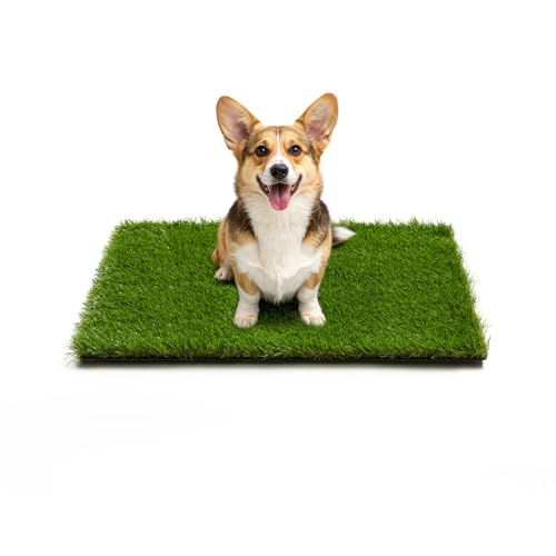 Artificial Grass Turf Grass for Dogs & Outdoor Use, Realistic Fake Lawn Grass for Patio, Garden, Balcony, Durable Turf for Indoor Outdoor Mats (23.6 x 19.7 in) - size: 23.6 x 19.7 in(For Small Dogs)