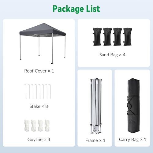 Driftalia 10x10 Pop Up Canopy Tent, Instant Setup Portable Canopy with Carry Bag, 4 Sandbags and 8 Stakes for Outdoor Events, Parties & Camping - Dark Grey - color: Dark Grey, size: 10x10ft