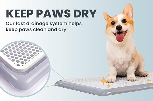 Pet Awesome Dog Potty Tray/Puppy Pee Pad Holder 25”x20” Indoor Wee Training for Small and Medium Dogs - color: Grey