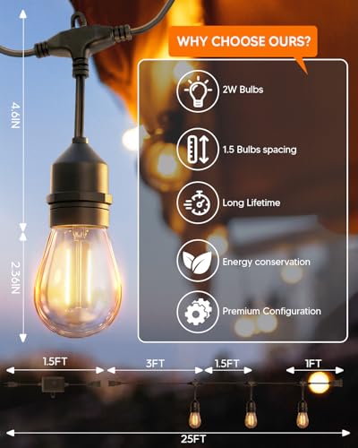 25FT S14 Outdoor String Lights, 15+2 Shatterproof Bulbs 2W, 1.5FT Spacing IP65 Waterproof| Dimmable with Remote, Heavy-Duty, Include Screw & Zip Ties for Patio Backyard Holiday Outside - size: 25 FT with 15+2 Bulbs (1.5FT Bulbs Apart)