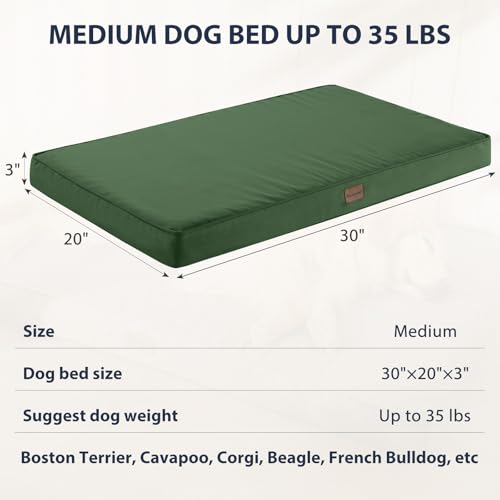 BFPETHOME Outdoor Dog Bed for Large Dogs, Waterproof, Orthopedic with Removable Washable Cover, Egg Crate Foam - 30 x 20in, Green - color: Green, size: 30.0"l X 20.0"w X 3.0"th