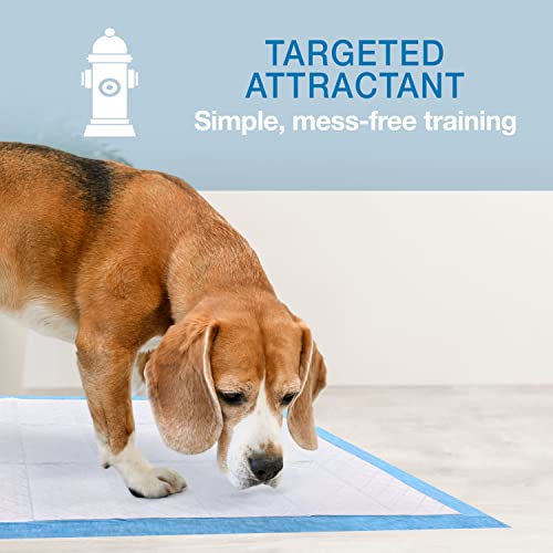Four Paws Wee-Wee Odor Control with Febreze Freshness Pee Pads for Dogs & Puppies, Leak-Proof Dog Housebreaking Potty Training Floor Protection, Spring Fresh Scent, 22" x 23", 100 Count - size: 22" X 23"