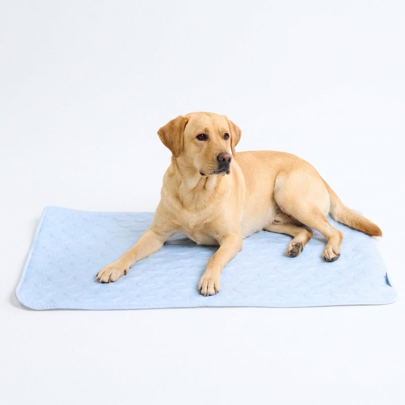 Spark Paws Cooling Mat for Dogs - Self Cooling Dog Mat & Pet Cooling Pad for Large, Medium & Small Dogs - Non-Toxic, Non-Gel Washable Cooling Bed - Hearts Blue - Size XXL - color: 01 - Hearts Blue, size: XX-Large