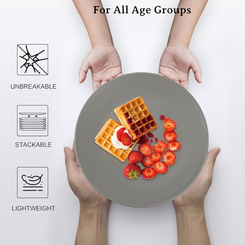 Wrova Wheat Straw Dinner Plates 10 Inch Unbreakable Set of 8 - Dishwasher & Microwave Safe Plastic Plates Reusable - Lightweight Plates for kitchen,camping,salad - Black to Grey - color: Black/Deep Gray/Gray, size: 10 inch
