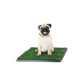 Artificial Grass Puppy Pad with Tray 16x20 inch | Reusable Indoor & Outdoor Dog Potty Training Mat System | Washable Fake Grass Pet Housebreaking Pad for Puppies & Small to Medium Dogs by PETMAKER - size: Small 3-Layer System