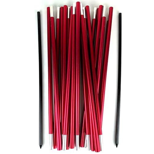 Disc Store Portable Goaltimate Kit - Includes Regulation Goaltimate Arc, Two Iron Stakes, and Carrying Bag for Ultimate Disc Games