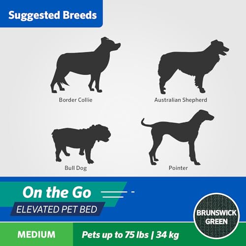 Coolaroo On-The-Go Elevated Dog Bed - Foldable Pop-Up Travel Dog Bed with Breathable, Moisture-Resistant Fabric, Carry Bag Included, Lightweight & Portable, Brunswick Green, Medium - color: Brunswick Green, style: Medium