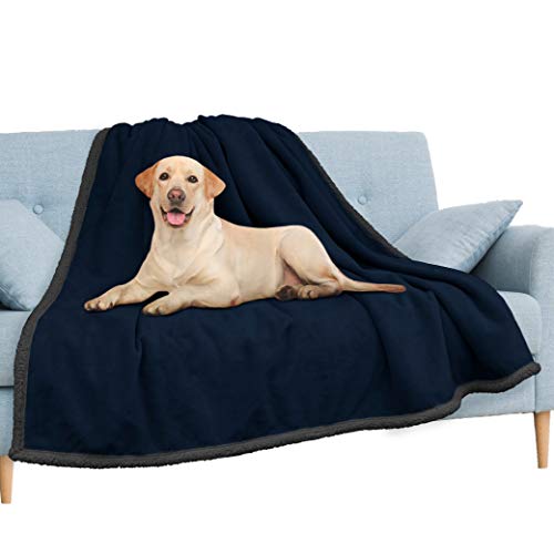PAVILIA Waterproof Blanket for Couch, Sofa | Pet Protector for Large Dog, Puppy, Cat | Plush Soft Warm Fuzzy Sherpa Throw, Navy, 60x80 - color: Navy, size: 60x80 Inches