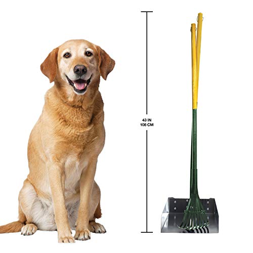 Four Paws Stainless Steel Long-Handled Dog Pooper Scooper Rake & Pan 2 Piece Set, Pet Waste Pickup Tool, 38" x 10" - size: Large, 9.5" x 10" x 38", style: Rake & Pan Set
