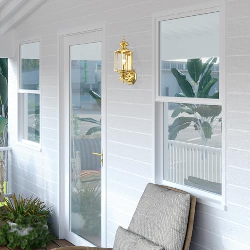 Livex Lighting 2006-02 Basics 1 Light PB Outdoor Wall Lantern, Polished Brass - color: Polished Brass