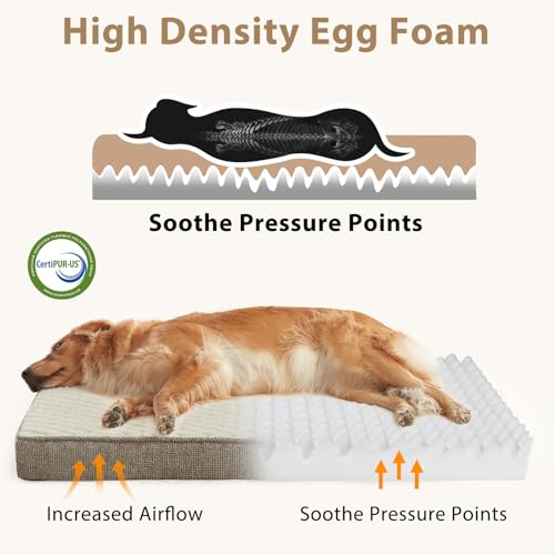 JOEJOY Orthopedic Dog Bed for Extra Large Dogs, Washable Dog Crate Bed Large Sized with Removable Cover, Egg Memory Foam Big Pet Beds, Beige, 47"x29" - color: Beige, size: XXL(47"x29")