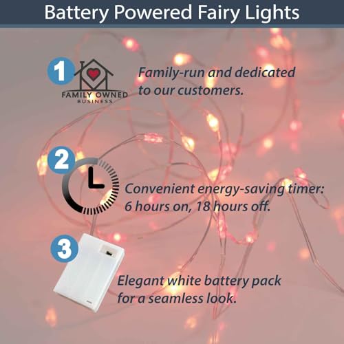 QBIS Battery Powered Fairy Lights - 40 LED, 6hr Timer, Red & Orange for Bedroom, Christmas & Halloween - size: 1PK-40 Red,Orange