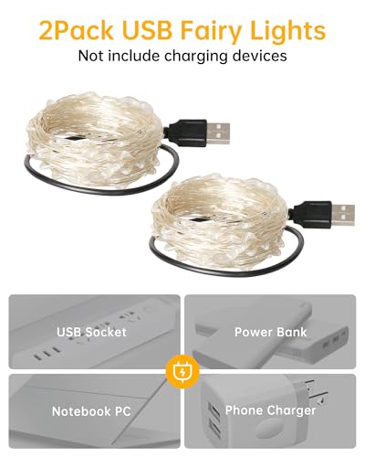 Blingstar USB Powered Fairy Lights, 2 Pack 33Ft 100 LED, Flexible Silver Wire, Mini String Lights for Christmas Tree/Bedroom/Camping/Holiday Indoor Decoration, Warm White - color: Warm White