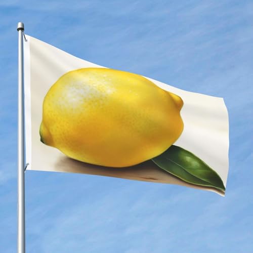 Lemon Flag 2 X 3 Ft Double Sided Vertical Garden Flag Seasonal Holiday Banner With Brass Grommets Photo Backdrop Yard Flag For Outdoor Indoor Home Decor - color: Lemon