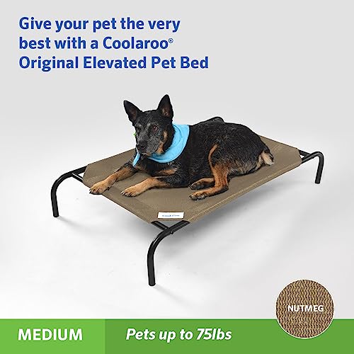 Coolaroo Original Elevated Dog Bed - Breathable Off-The-Ground Pet Bed with Cooling Fabric, Joint Relief & Moisture-Resistant Fabric, 100% Recyclable, Easy Clean, Nutmeg, Medium - color: Nutmeg, style: Medium Dog Bed