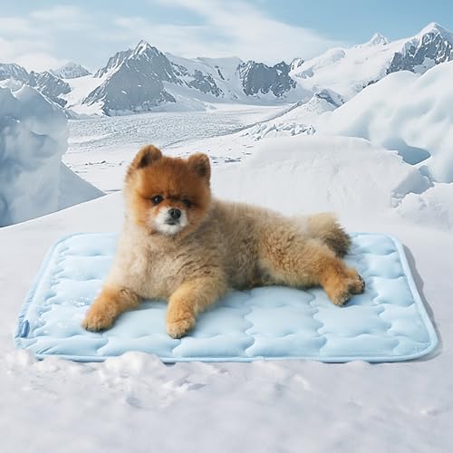 Bedsure Cooling Mat for Small Dog, Q-Max>0.5 Thin Breathable Cold Crate Pad for Puppy and Cat, Portable Washable Kennel Bed for Active Pet with Chill Soothing Fabric to Rapid Cooling, 24x18, Blue - color: Baby Blue, size: 24" x 18" (Small)