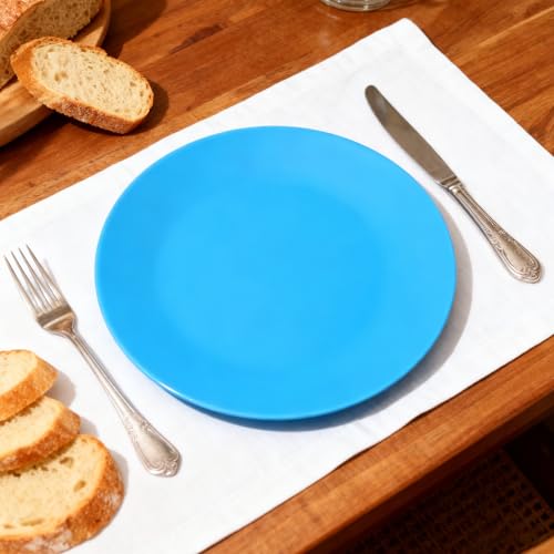 AOYITE Plastic Dinner Plates Reusable BPA Free Dishwasher Safe Microwaveable Plate for Any Occasion, BBQ, Travel, and Events (Multicolor set of 12) - color: Neon Summer Tones