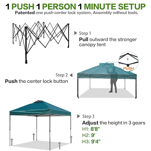Tunbne 10'x10' Pop Up Canopy Tent with 1 Sidewall and 6 Pockets, One Push Setup, Instant Shade Tent with Vented Roof for Beach Patio Outdoor, Case, 8 Stakes, 4 Ropes, 4 Sandbags (Green, 10x10) - color: Green, size: 10x10