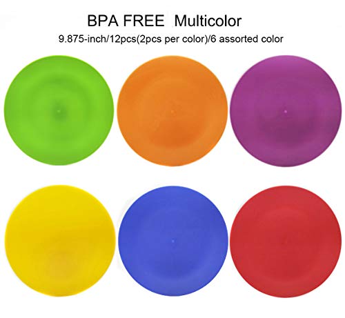 KOXIN-KARLU 10-inch Dinner Plates, Reusable Plastic Plates for Picnic, Set of 12 Multicolor