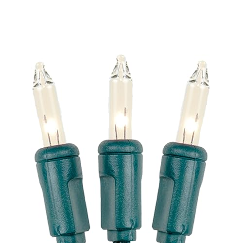 Novelty Lights 34 Feet 100 Bulbs Traditional Incandescent Mini Lights, Clear on Green Wire with 4" Spacing, Commercial Grade and UL Listed for Indoor/Outdoor Use, End-to-End Connectable - color: Green Wire