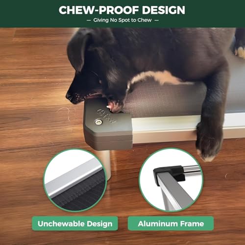 FXW TitanNest Chew-Proof Elevated Dog Bed, Raised Cot for Indoor/Outdoor/Camping Use, Durable & Washable Padded Pet Bed for Medium Dogs, 42.0" L x 27.0" W x 5.0" H, Gray - color: Gray, size: Medium Dog (42.0"l X 27.0"w X 5.0"h)