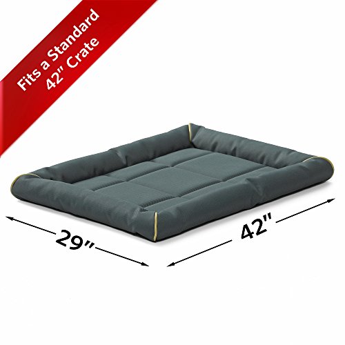 MidWest Homes for Pets Maxx Dog Bed for Metal Crates, 42 Inch Green - color: Green, size: 42 Inch