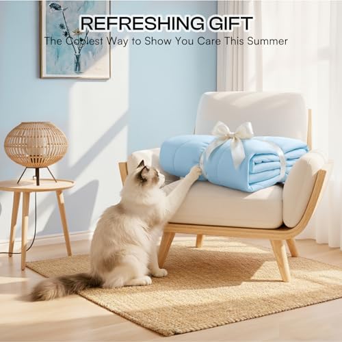 Luciphia Premium Cooling Dog Blanket Washable Q-MAX>0.5 Small Medium Large Pet Mat Puppy Cat Self-Cooling Soft Breathable Calming Throw for Sofa Crate Bed (Light Blue,25x35 inches) - color: Light Blue, size: 25x35 inches