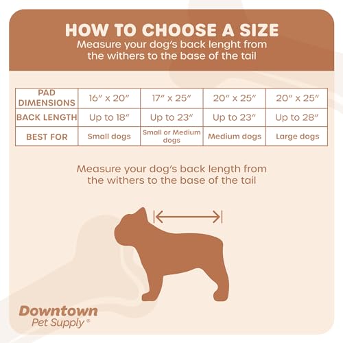 Downtown Pet Supply Dog Grass Pad with Tray, 16 x 20 - Outdoor and Indoor Potty System for Dogs with Replaceable Synthetic Grass Pee Turf - Portable and Waterproof Turf Dog Potty - size: 16" x 20"