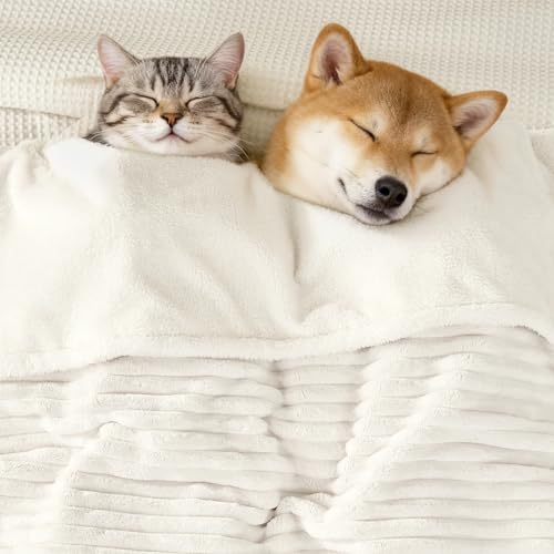 Waterproof Twin Blanket for Bed - Washable Large Dog Blankets for Bed Protector, Thick Cozy Fleece Calming Pet Blankets for Indoors & Outdoors, Cream, 60"x80" - color: Cream, size: Twin(60x80")