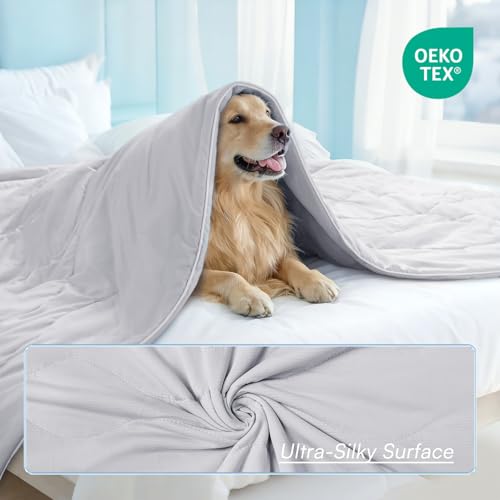 Luciphia Premium Cooling Dog Blanket Washable Q-MAX>0.5 Small Medium Large Pet Mat Puppy Cat Self-Cooling Soft Breathable Calming Throw for Sofa Crate Bed (Light Grey,25x35 inches) - color: Light Grey, size: 25x35 inches
