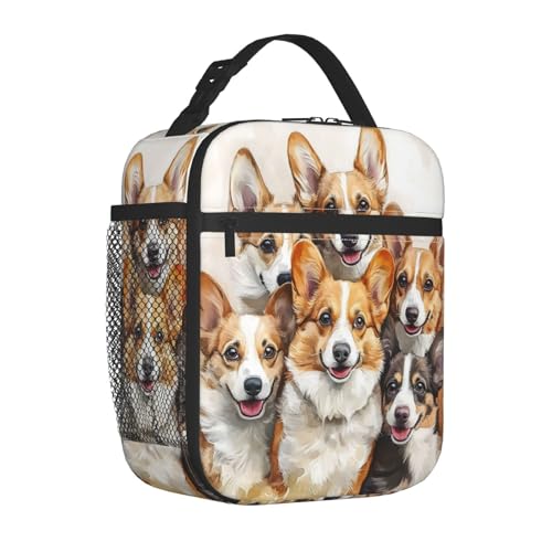 Corgi Lunch Box Insulated Lunch Bag for kids Girls Boys Women,Reusable Lunch Box Containers for Women Men,Durable Cooler Tote Bag Lunchbox for Office/School/Picnic - color: Corgi02