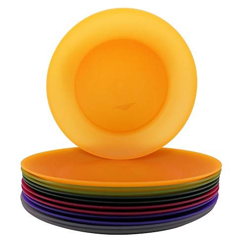 AOYITE Everyday Plastic Plates Reusable - Unbreakable 10 inch Dinner Plates set of 12 - BPA Free Dishwasher Safe & Microwave Kids Colorful Plate for Kitchen Party Camping Outdoor - color: Autumn Tones